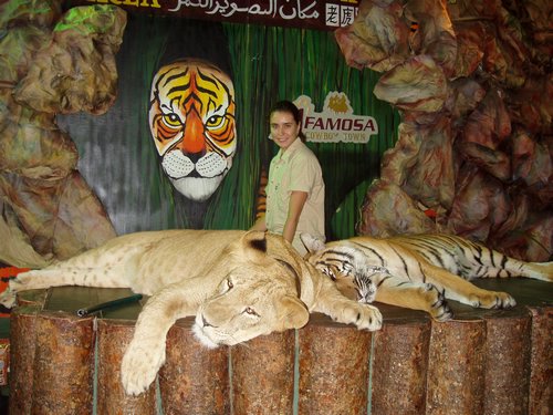 Тигр и Лев