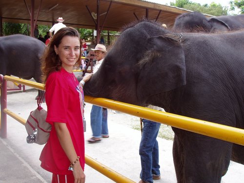 Я и слон